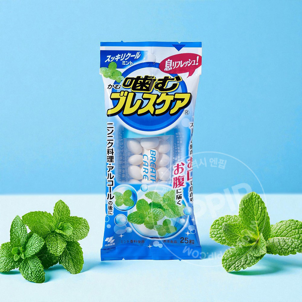 고바야시 브레스케어 모음 24종