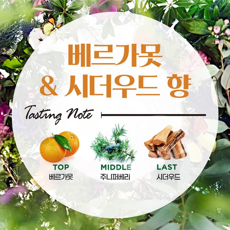 란도린 보태니컬 룸디퓨저 베르가못&시더 향기 80ml