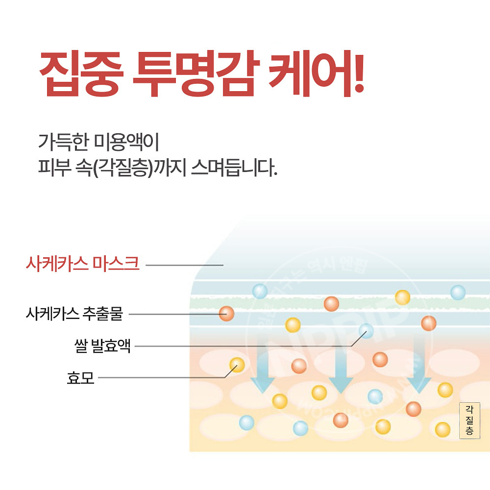 와푸드메이드 사케카스 술지게미 마스크팩 10매입