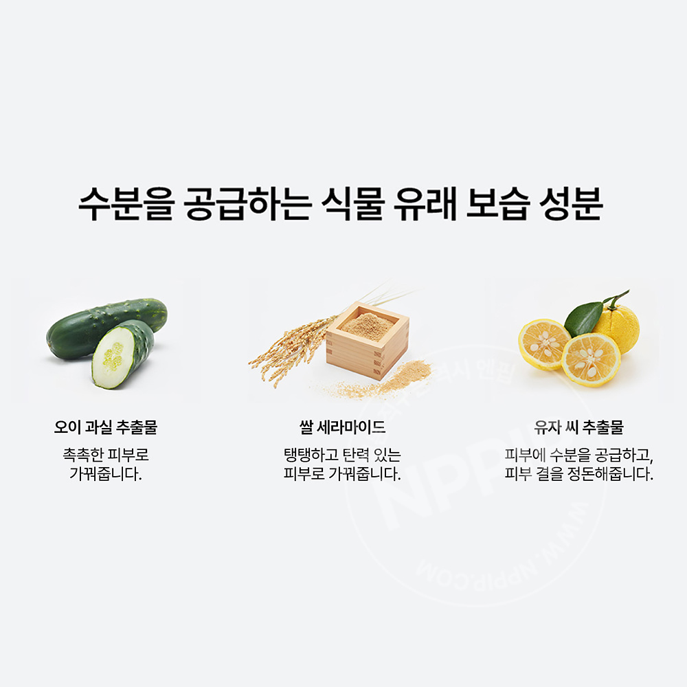 와푸드메이드 사케카스 술지게미 세안 클렌징폼 170g