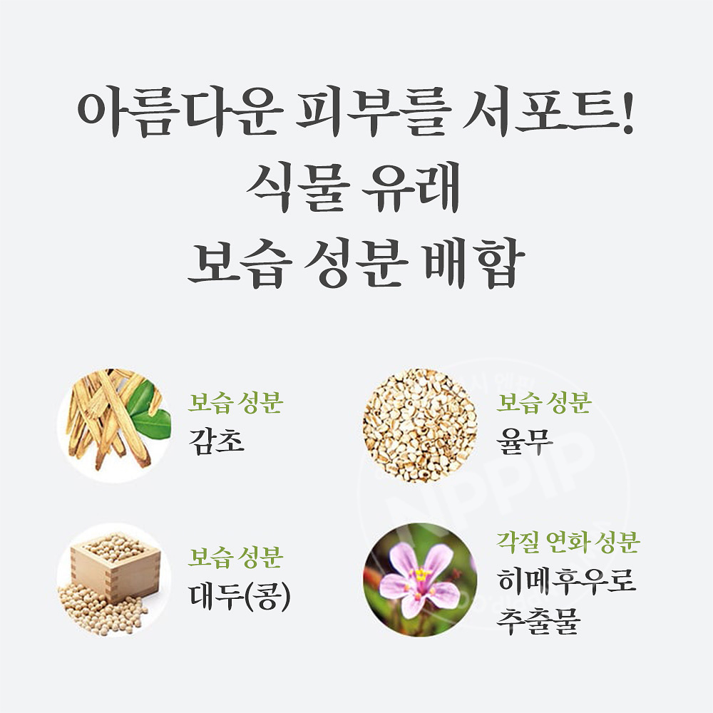 와푸드메이드 우지 말차 효소 파우더 세안제 30포입