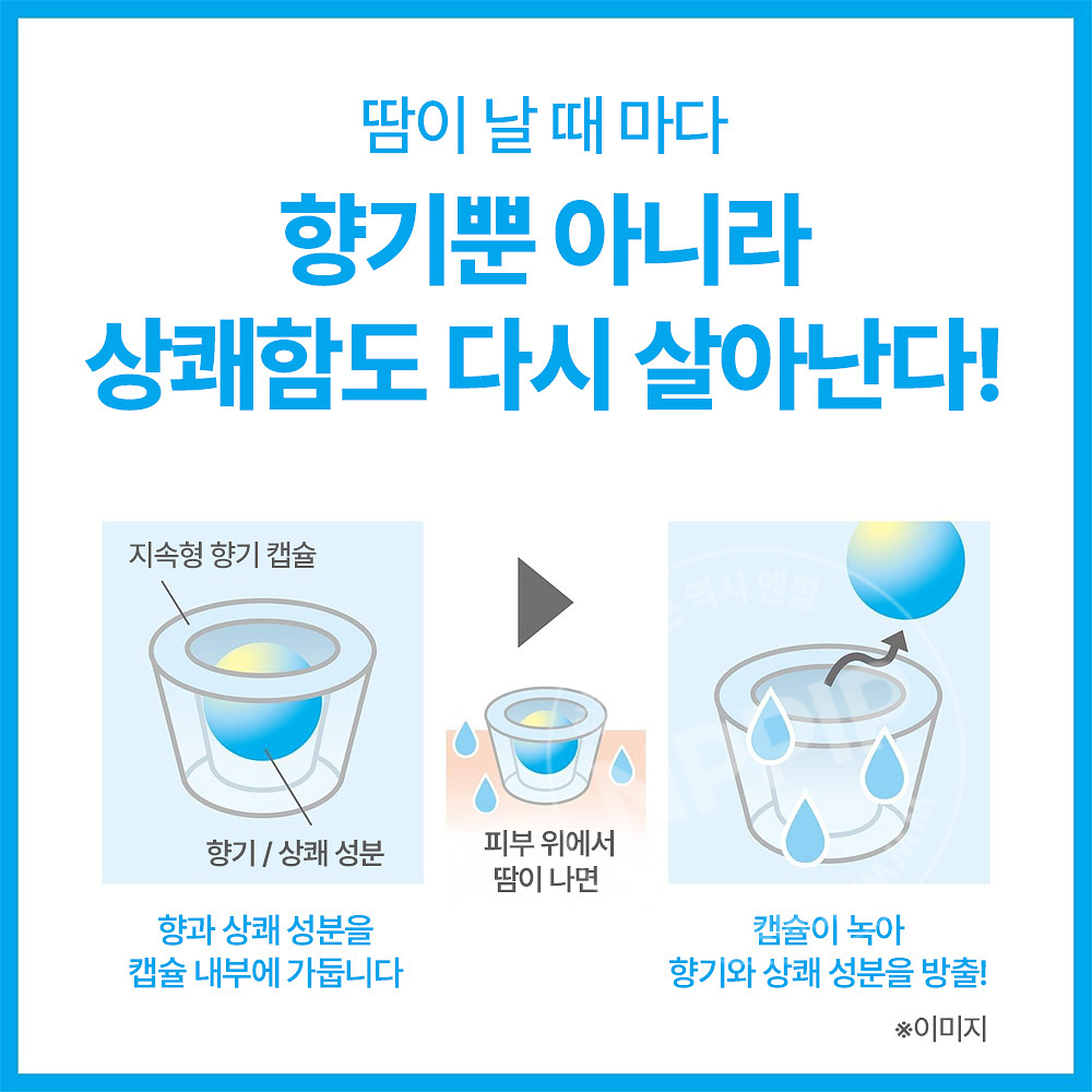 [리뉴얼] 시세이도 씨브리즈 시브리즈 데오워터 데오드란트 미스트 타입 7종