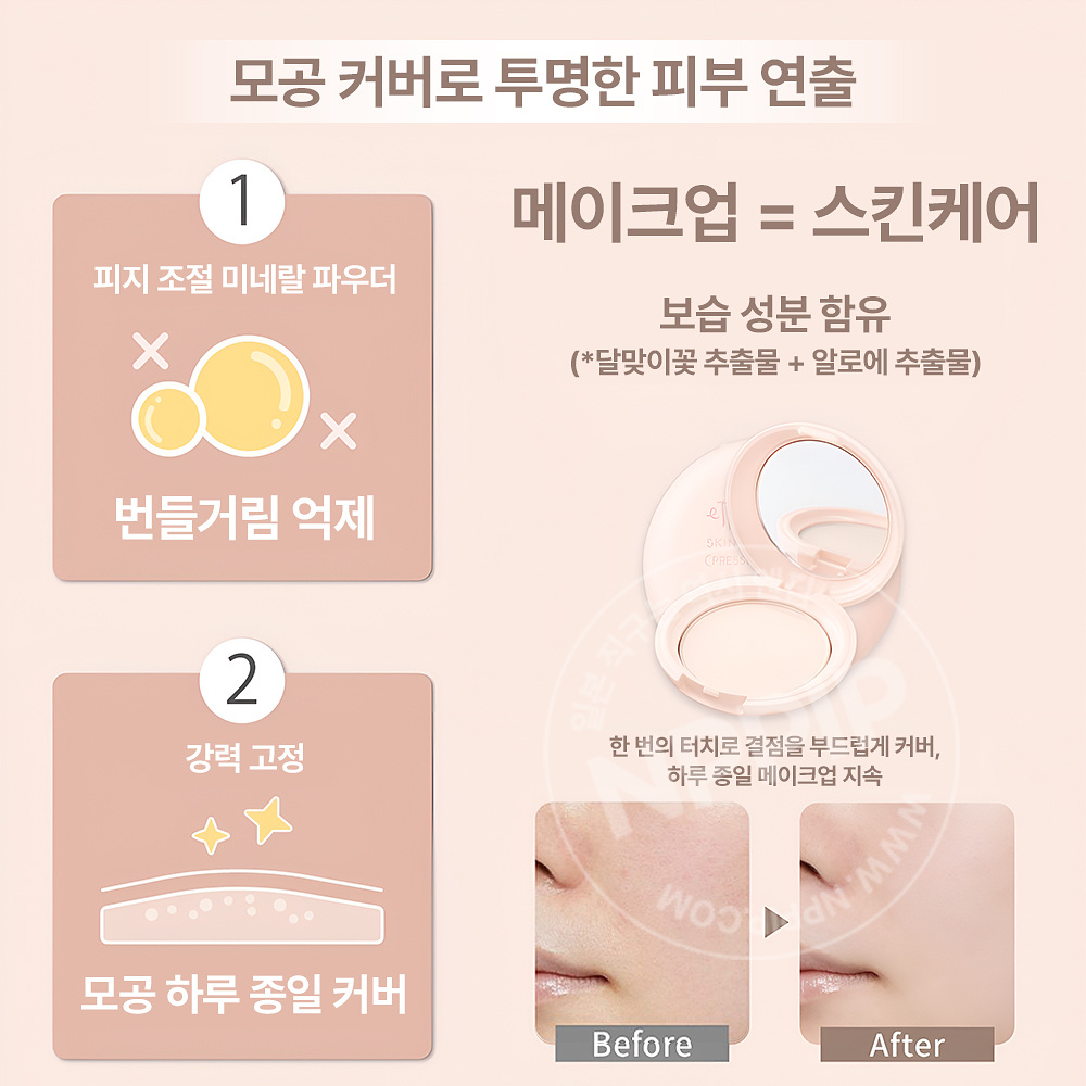 에튜세 스킨케어 프레스드 파우더