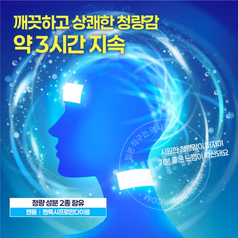 카오 메구리즘 붙이는 탄산 냉감 젤팩 머리 목용 6매입