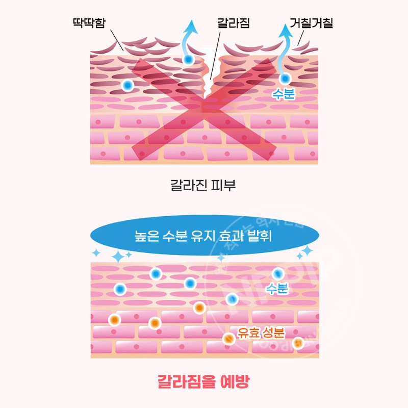 네이처콘크 약용 풋케어 로션 40ml 발뒤꿈치 갈라짐 각질제거 발보습 크림