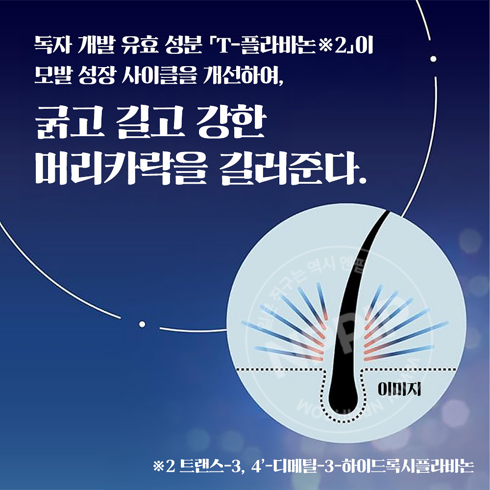 카오 석세스 헤어 그로스 차지 에센스 두피케어 190ml