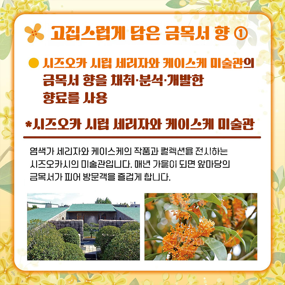 바스크린 금목서향 입욕제 600g 일본 입욕 파우더