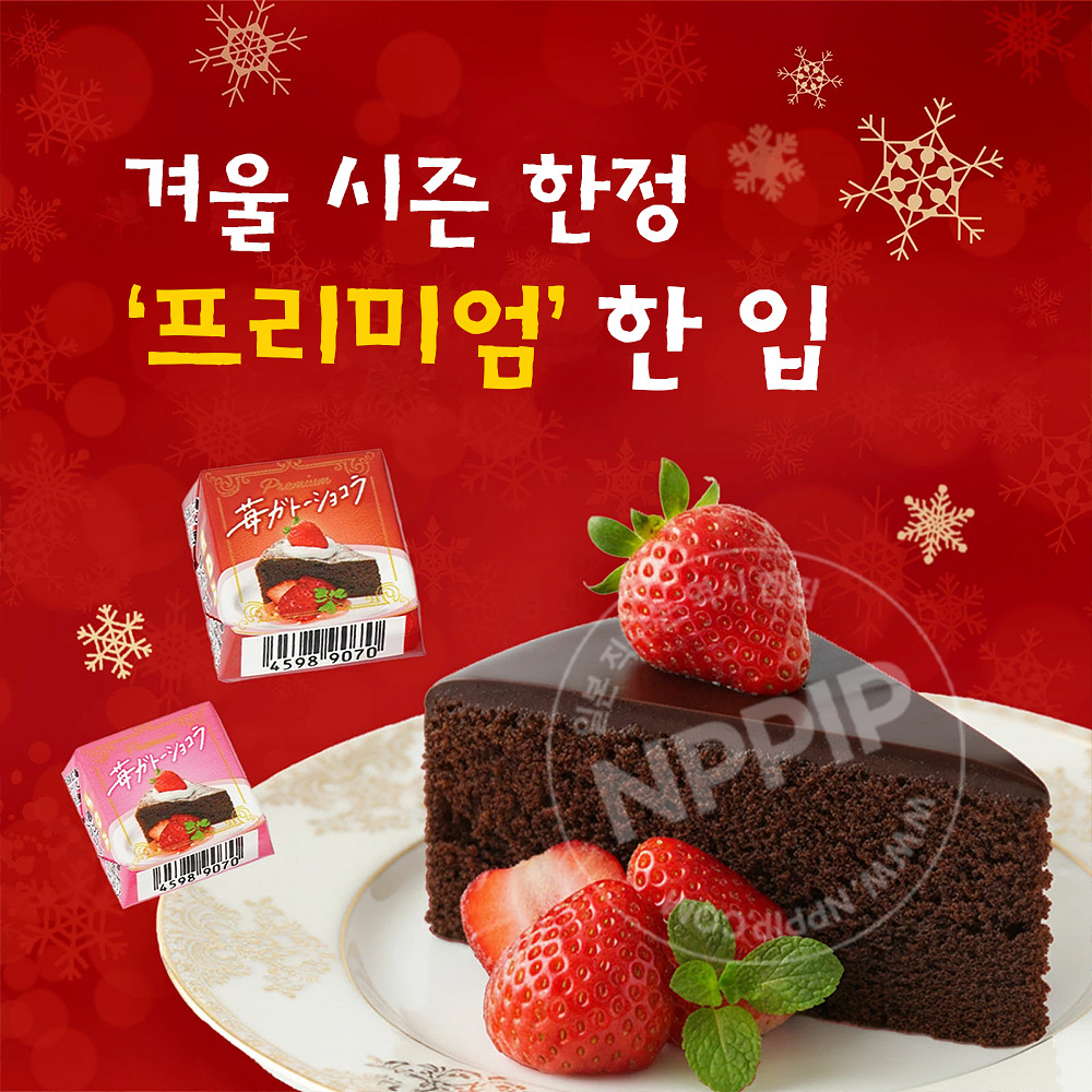 치로루 초코 초콜릿 딸기 가토 쇼콜라 30개입