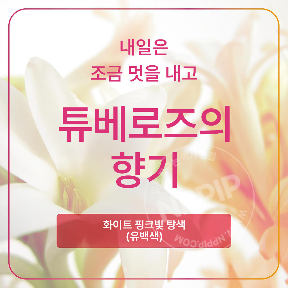 아스제약 오프롬 타블렛 탄산 입욕제 츄베로즈 향기 4개입