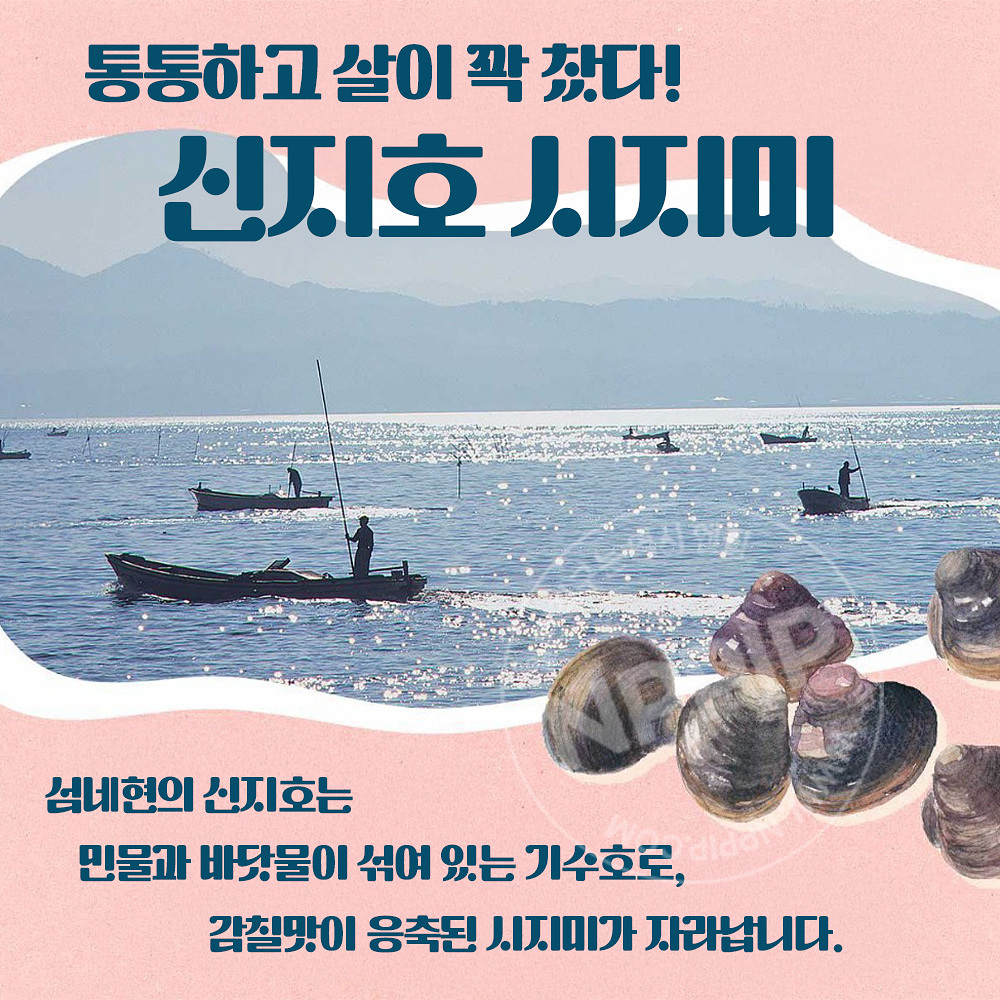 칼디 모헤지 시지미 스프 조개 재첩 육수 소스 액기스 200ml