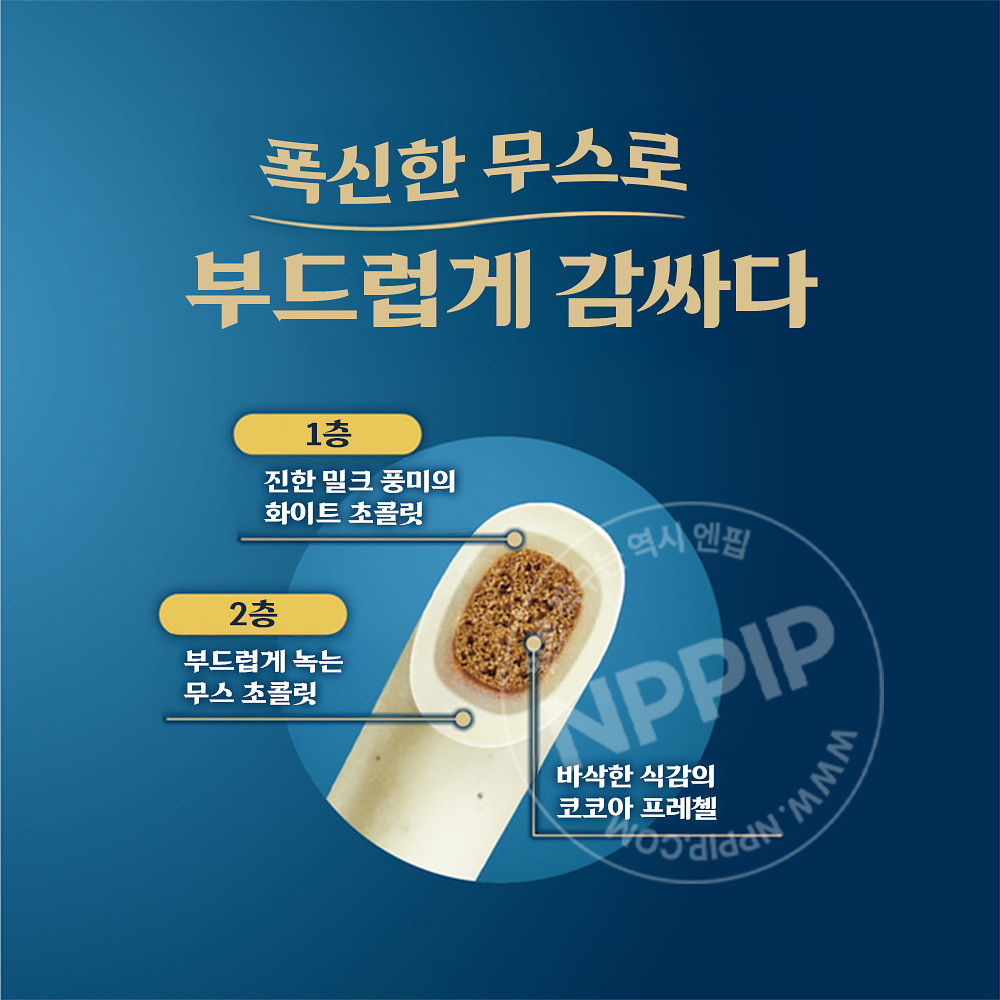 글리코 포키 빼빼로 두겹 바닐라 화이트 2봉입 일본 과자