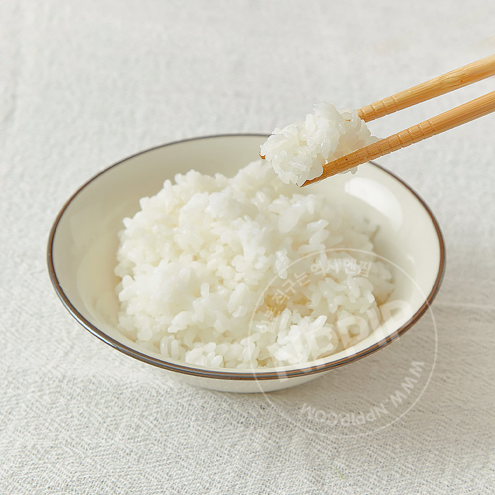 3coins 1인 전자레인지 밥솥 소형 캠핑 밥통 밥짓기