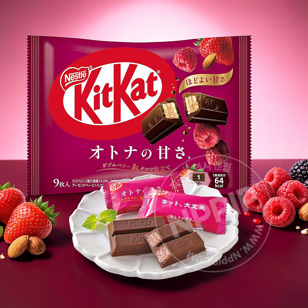 네슬레 킷캣 킷켓 미니 초콜릿 모음전