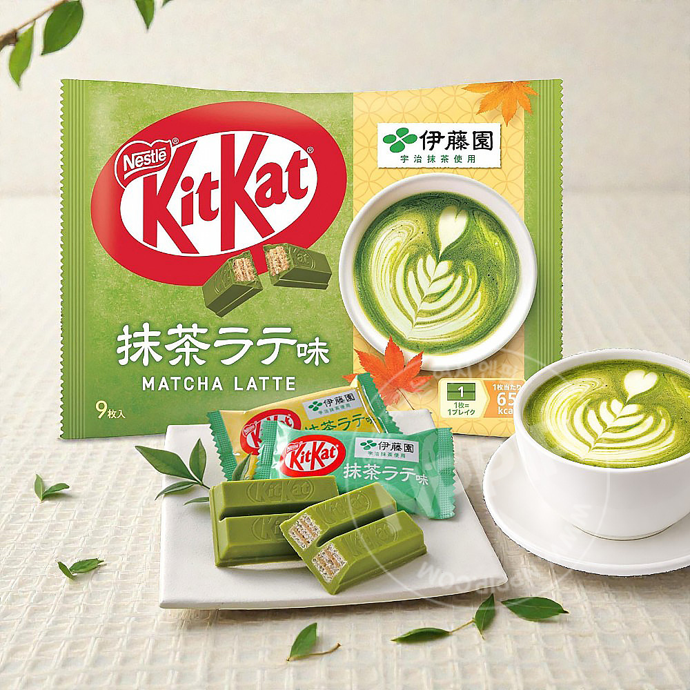 네슬레 킷캣 킷켓 미니 초콜릿 모음전