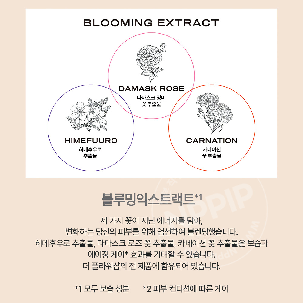 msh 더플라워샵 글로우 치크 블러셔 3종