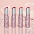 캔메이크 러스터 베일 루즈 립스틱 4종