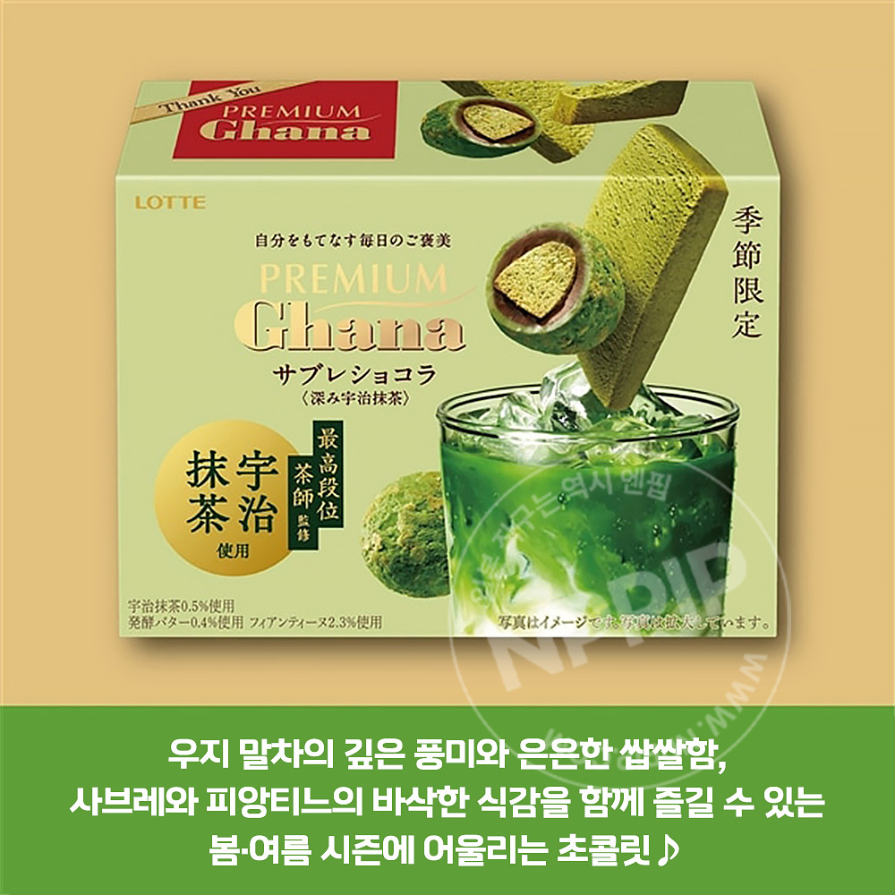 롯데 프리미엄 가나 사브레쇼콜라 깊은 우지말차맛 초콜릿 49g