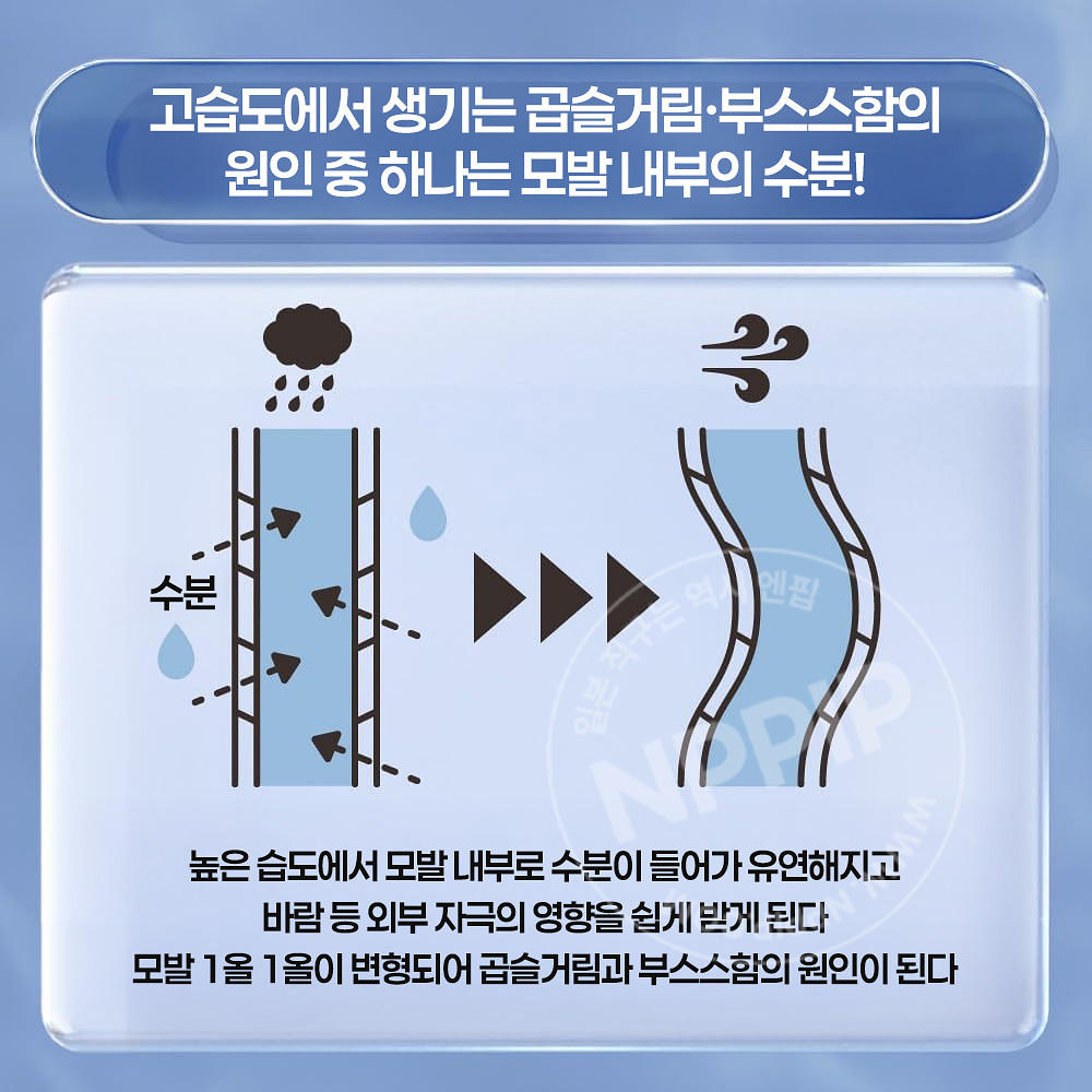 카오 THE ANSWER 더앤서 시즈널 케어 ss 슈퍼 라메라 샴푸 트리트먼트 2종