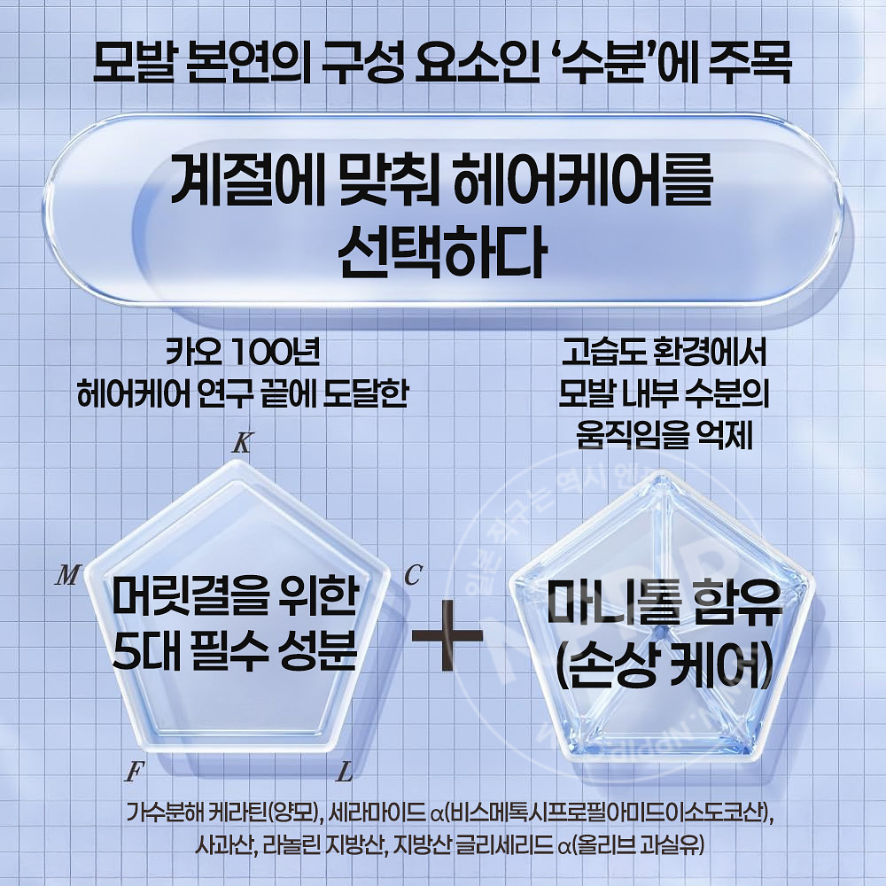 카오 THE ANSWER 더앤서 시즈널 케어 ss 슈퍼 라메라 샴푸 트리트먼트 2종