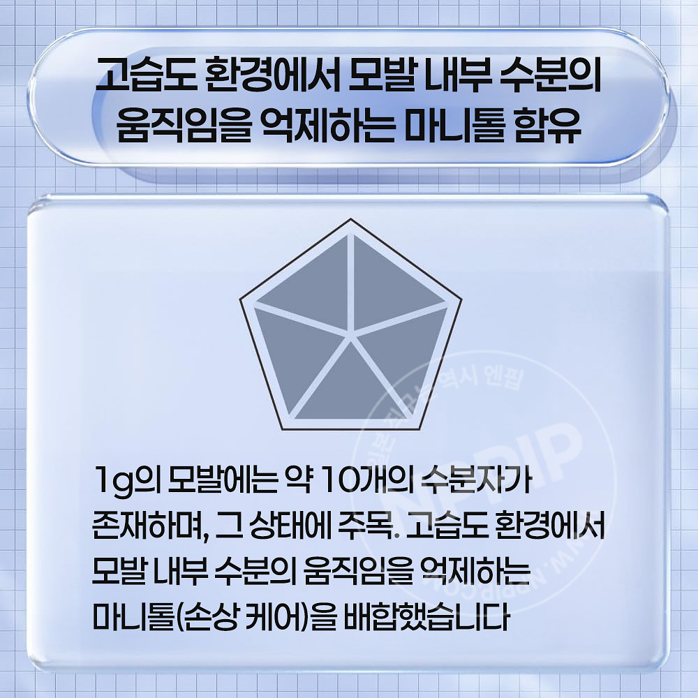 카오 THE ANSWER 더앤서 시즈널 케어 ss 슈퍼 라메라 샴푸 트리트먼트 2종
