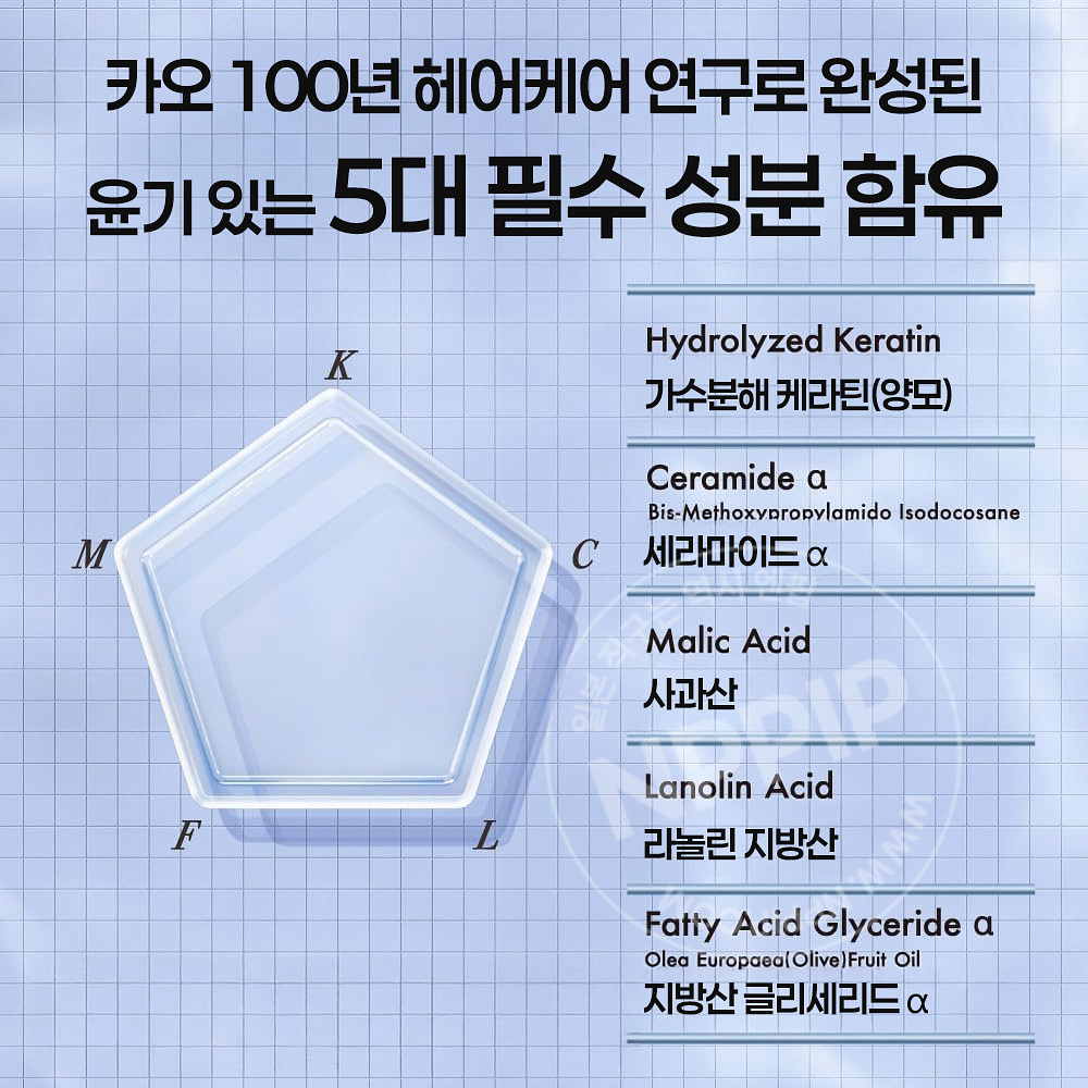 카오 THE ANSWER 더앤서 시즈널 케어 ss 슈퍼 라메라 샴푸 트리트먼트 2종