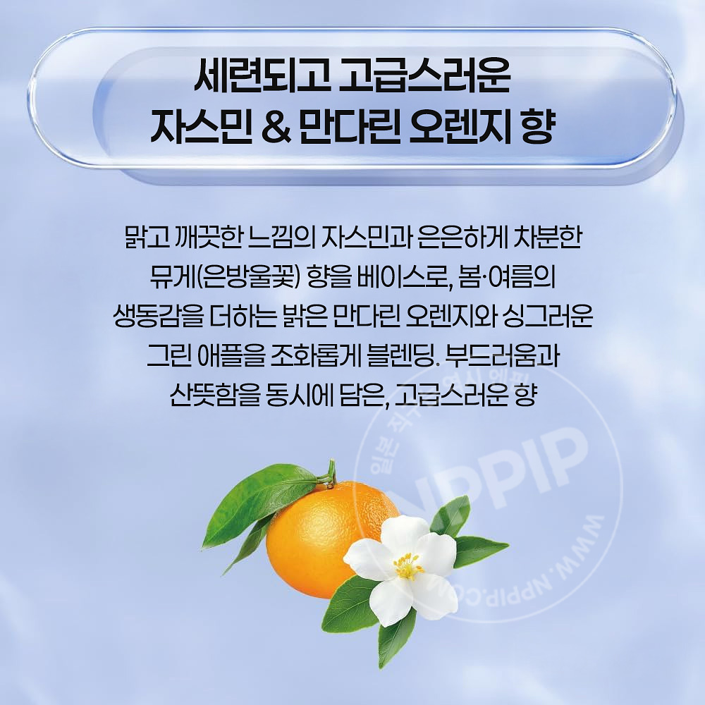 카오 THE ANSWER 더앤서 시즈널 케어 ss 슈퍼 라메라 샴푸 트리트먼트 2종