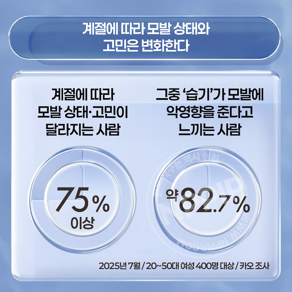 카오 THE ANSWER 더앤서 시즈널 케어 ss 슈퍼 라메라 샴푸 트리트먼트 2종
