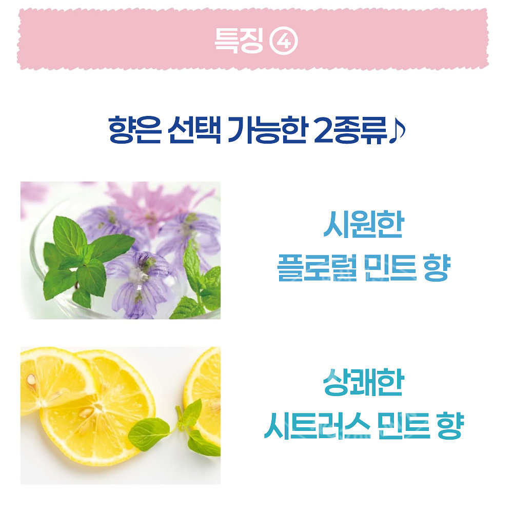 리베르타 쿨리스트 스칼프 쿨러 두피 로션 시트러스 민트향 100ml