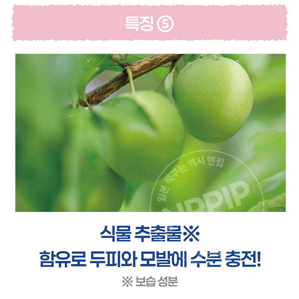 리베르타 쿨리스트 스칼프 쿨러 두피 로션 시트러스 민트향 100ml