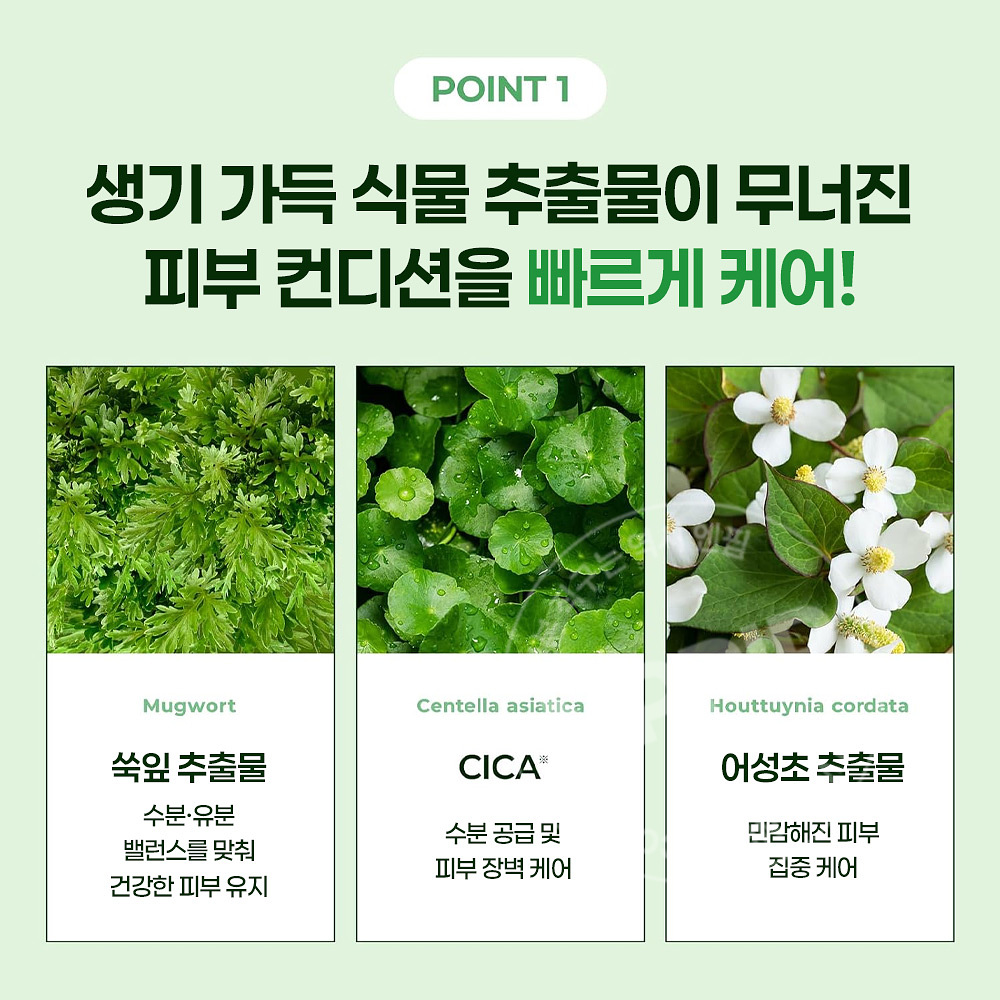 리아루스터 cica 수딩 하이드로 리얼 쑥 마스크팩 7매입