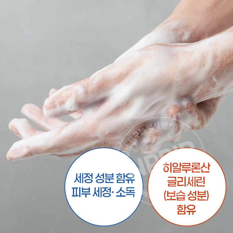 비오레 더 핸드솝 핸드워시 허벌우드향 본품 280ml
