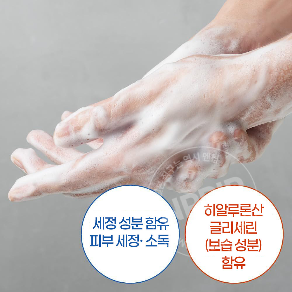 비오레 더 핸드솝 핸드워시 호지차향 본품 280ml