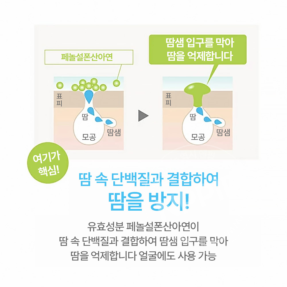 나키코 약용 땀방지 메이크업 페이스 젤 크림 쿨타입 30g
