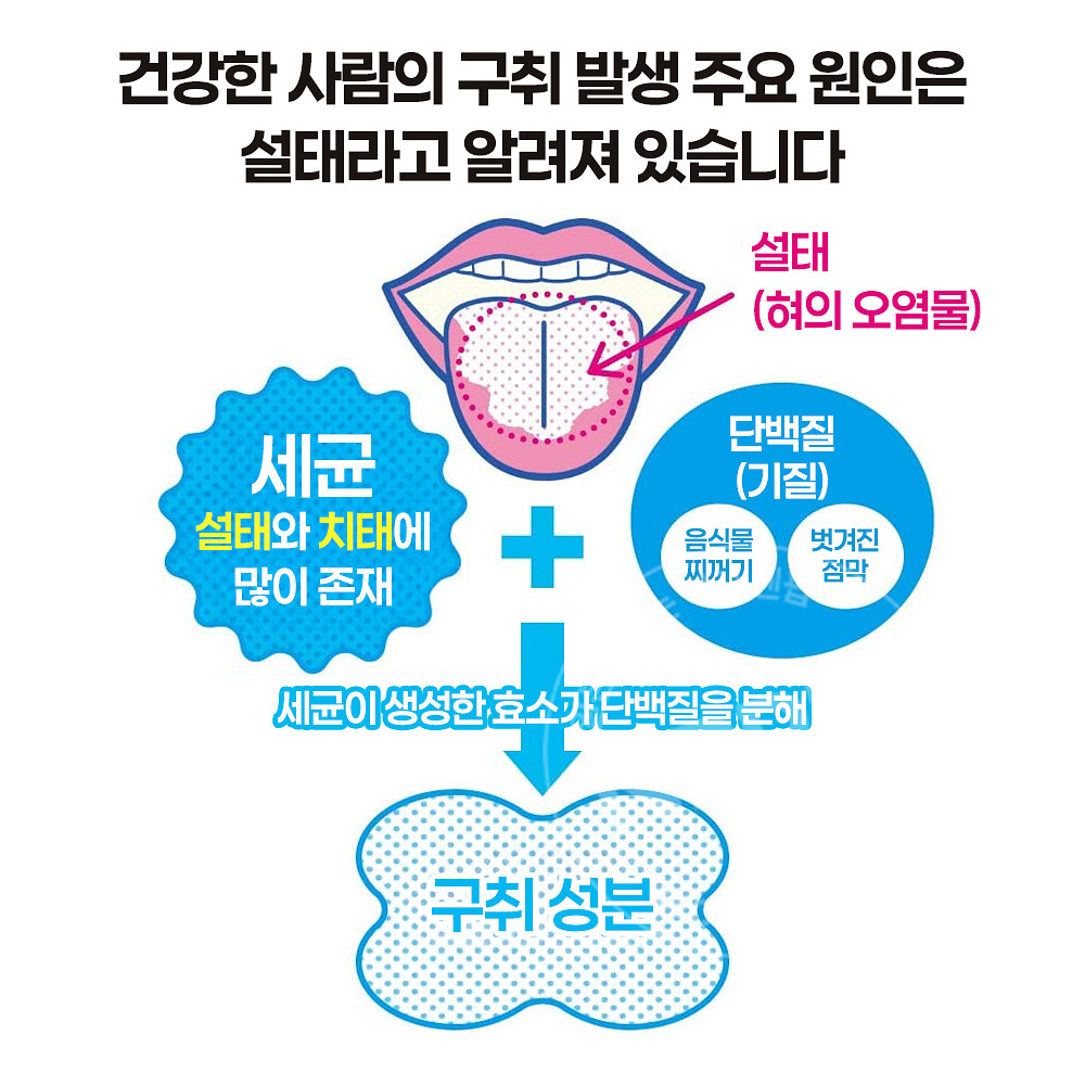 라이온 노니오 혀 전용 클리너 (색상 랜덤)