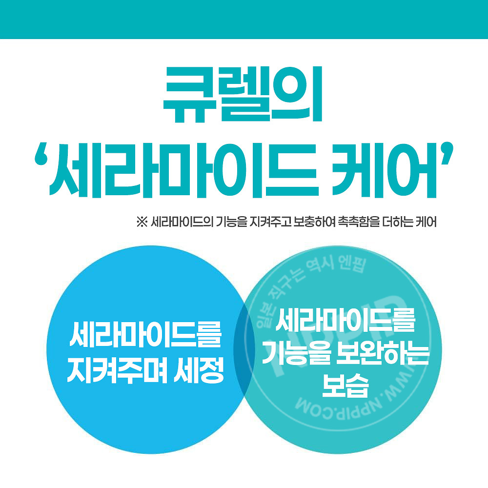 큐렐 인텐시브 모이스처 케어 두피 보습 로션 120ml 일본 화장품