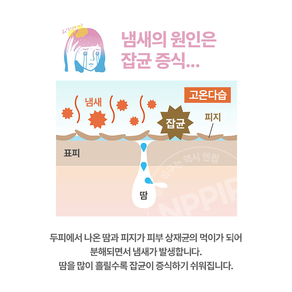 나키코 두피 땀방지 약용 프레시샷 미스트 쿨타입 30ml
