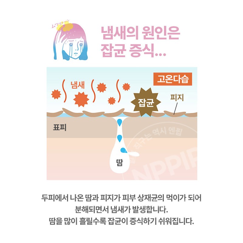나키코 두피 땀방지 약용 프레시샷 미스트 쿨타입 30ml