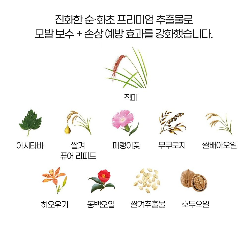 크라시에 이치가미 부드러운 스무스 케어 샴푸 리필용 320ml