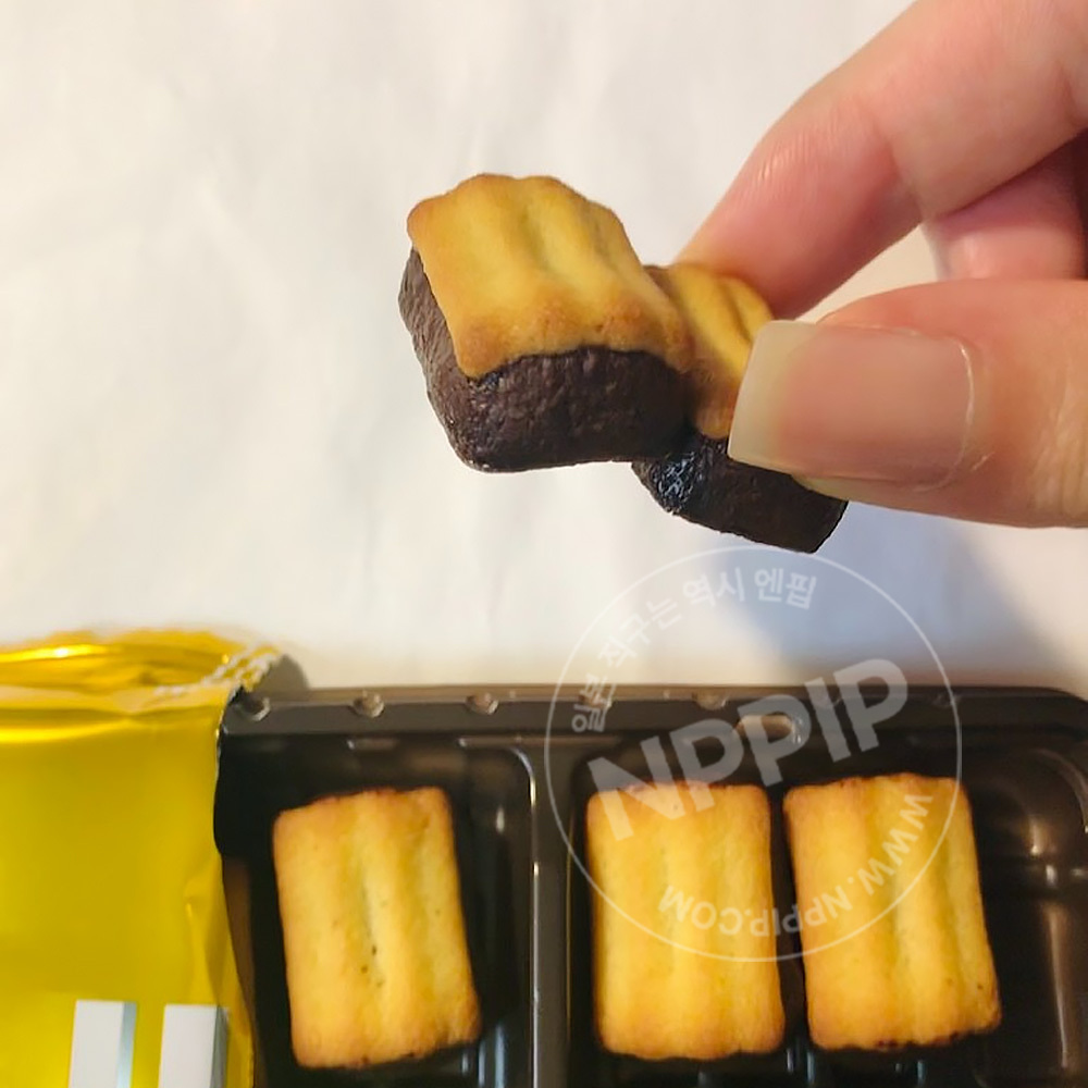 모리나가 베이크 소금 쿠키 쇼콜라 초콜릿 10개입