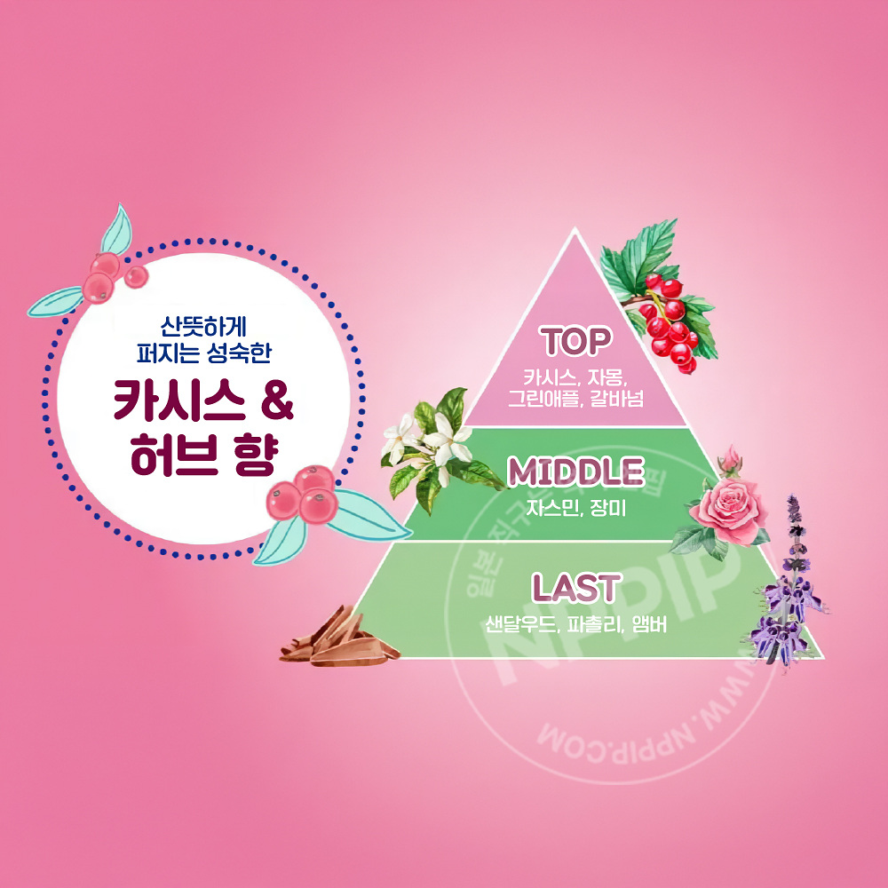 니베아 엔젤스킨 바디워시 카시스허브향 480ml