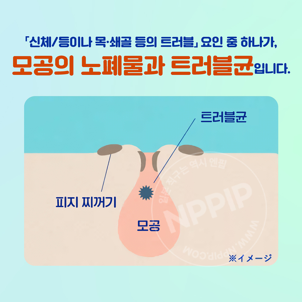 니베아 엔젤스킨 바디워시 아크네클리어 시트러스허브향 리필 350ml