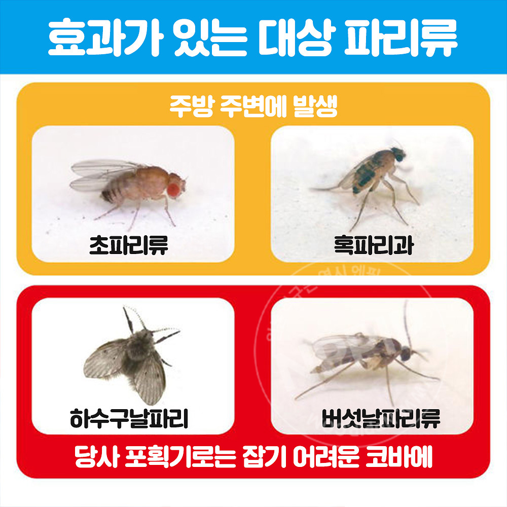 킨쵸 날파리 초파리 없어지는 스프레이 80회용