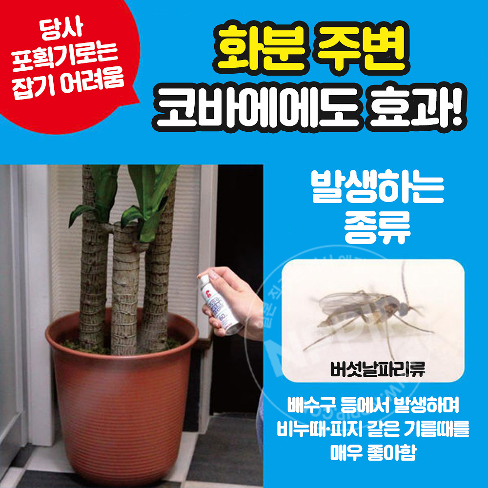 킨쵸 날파리 초파리 없어지는 스프레이 80회용