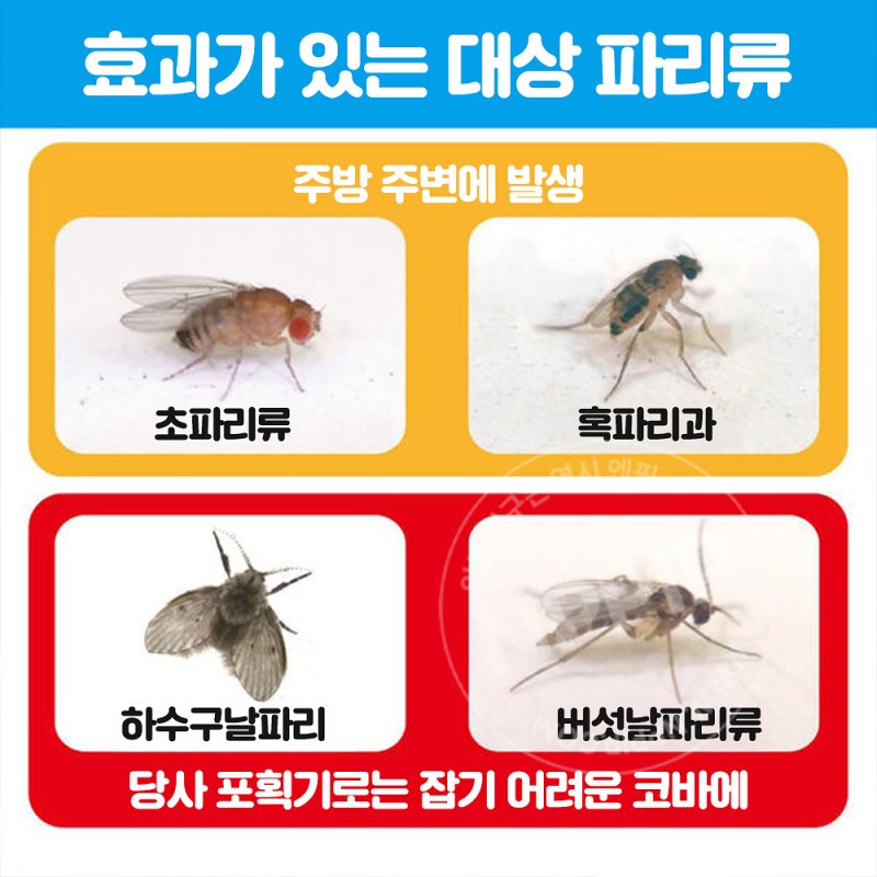 킨쵸 날파리 초파리 없어지는 스프레이 80회용