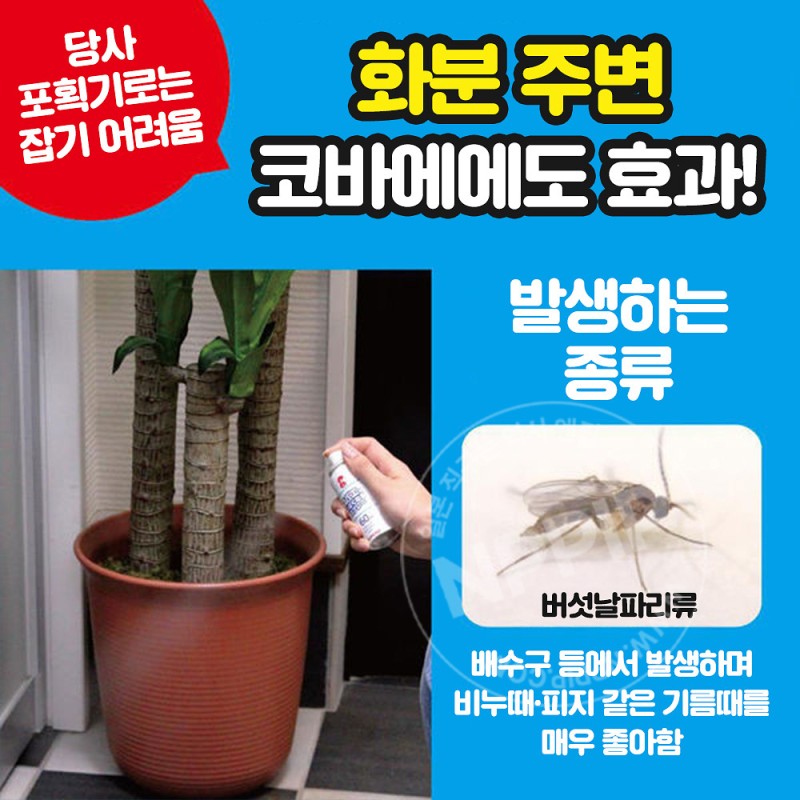 킨쵸 날파리 초파리 없어지는 스프레이 80회용