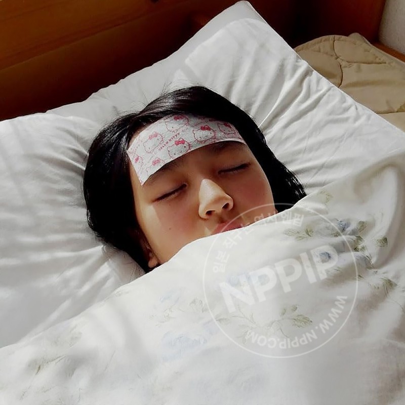 코쿠보 히야시마스 헬로키티 냉각 냉열 시트 16매입
