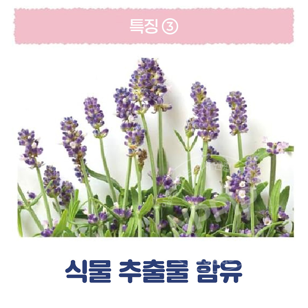 리베르타 쿨리스트 세나슈 아쿠아샴푸향 등에 뿌리는 땀 스프레이 60ml