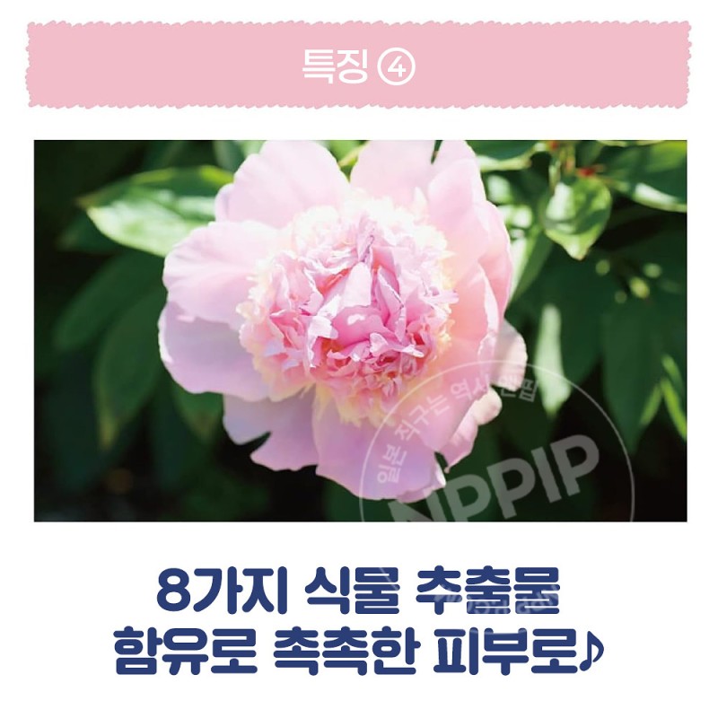 리베르타 쿨리스트 인 배스 워시오프 바디 쿨러 워시 아쿠아샴푸향 200g