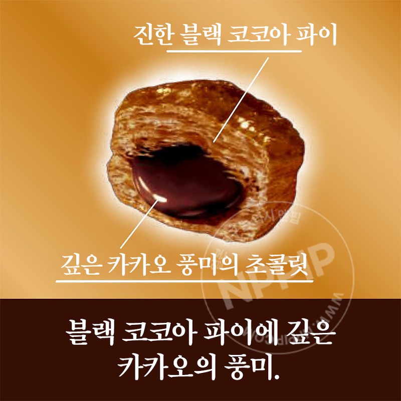 롯데 파이노미 파이의 열매 딥 쇼콜라맛 69g