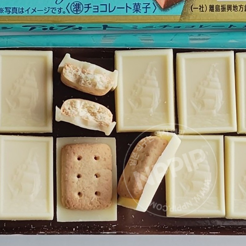 부르봉 알포트 미니 초콜릿 소금버터맛 12개입